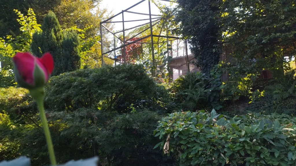 Cabane Du Tivoli Hebergement Insolite Moselle Une Nuit Perchee Dans Les Arbres